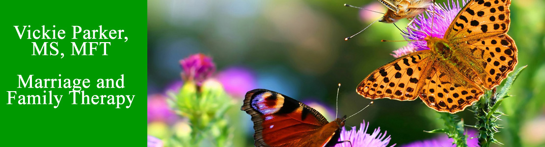 Vickie Parker top-of-page Banner with Butterflies